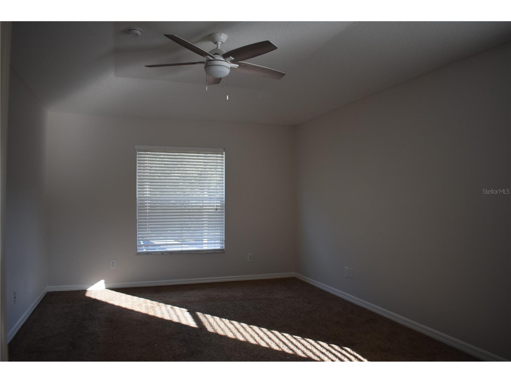 15509 Montilla Loop Tampa FL 33625 TB8422213 image16