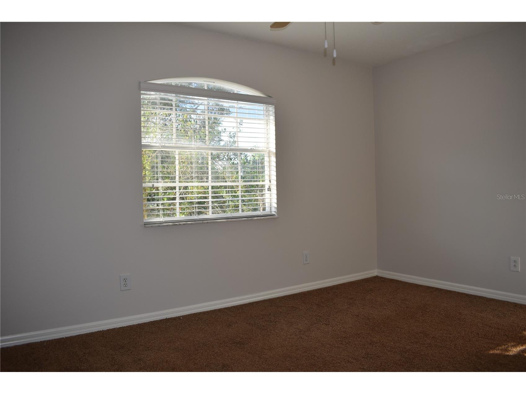 15509 Montilla Loop Tampa FL 33625 TB8422213 image18