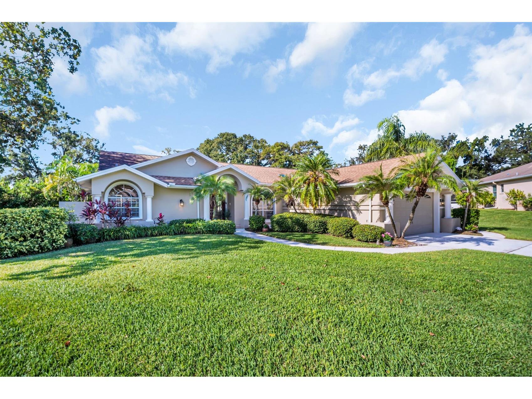1551 Mcauliffe Lane Palm Harbor FL 34683 TB8442850 image2
