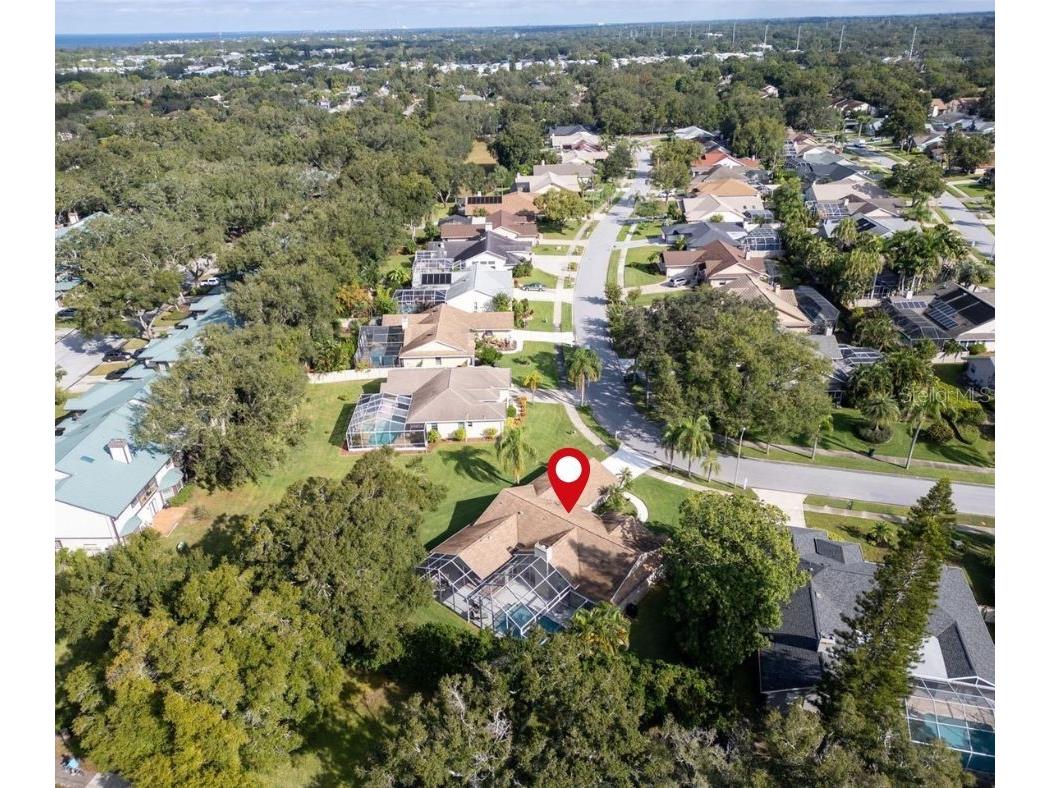 1551 Mcauliffe Lane Palm Harbor FL 34683 TB8442850 image41