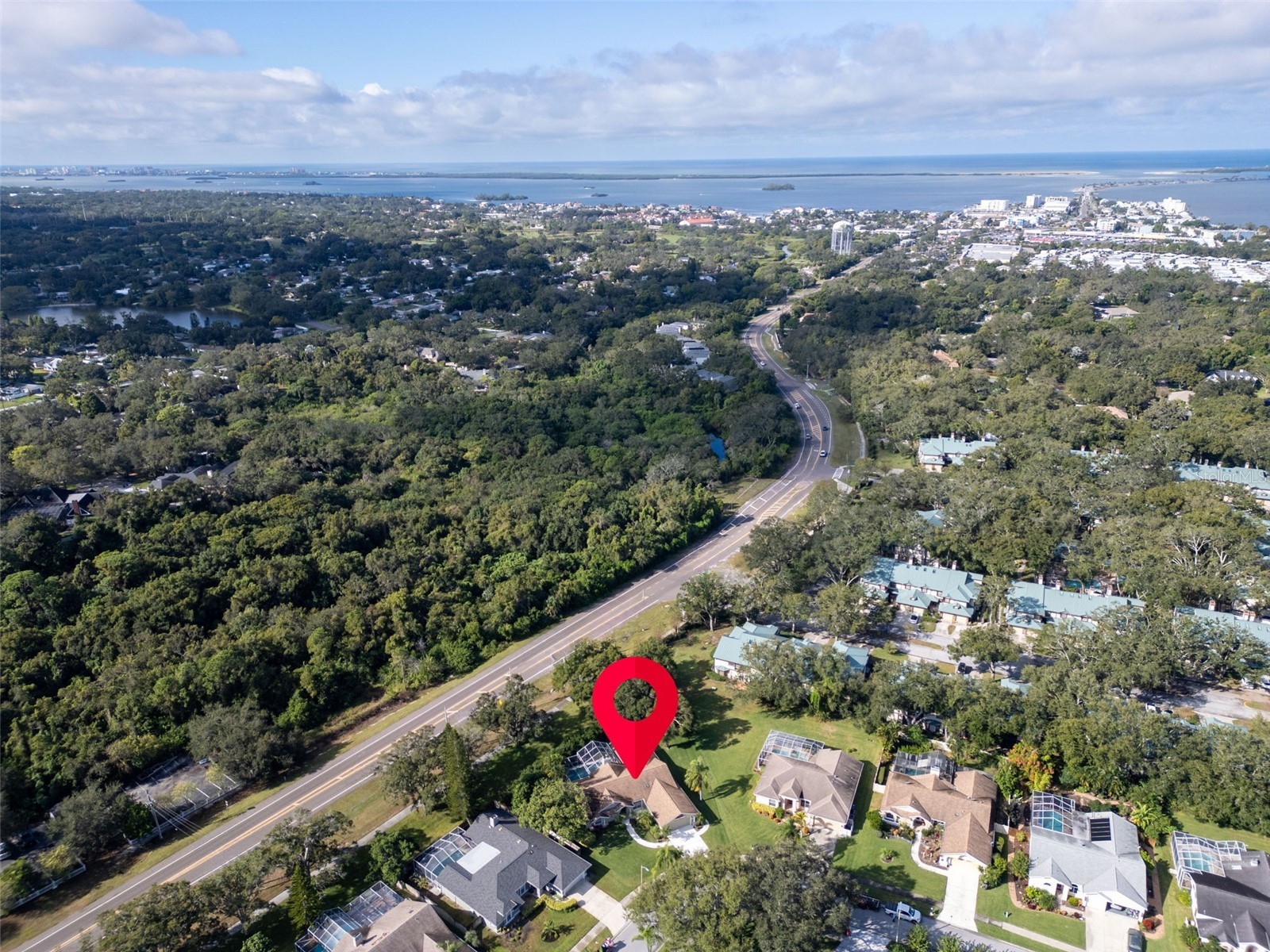 1551 Mcauliffe Lane Palm Harbor FL 34683 TB8442850 image43