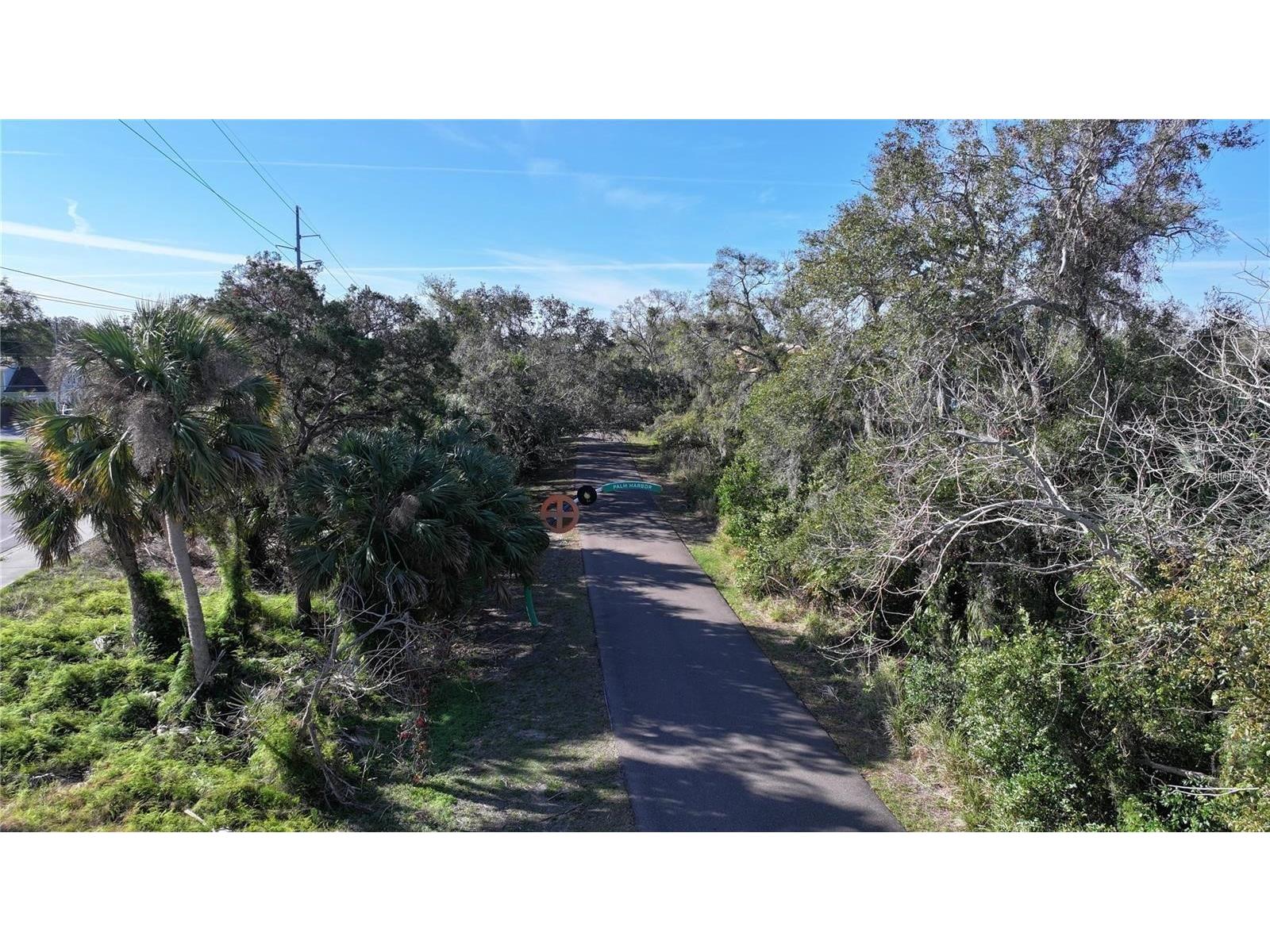 1551 Mcauliffe Lane Palm Harbor FL 34683 TB8442850 image52