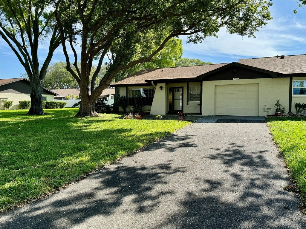 1551 Patton Drive Dunedin FL 34698 U8236848 image1