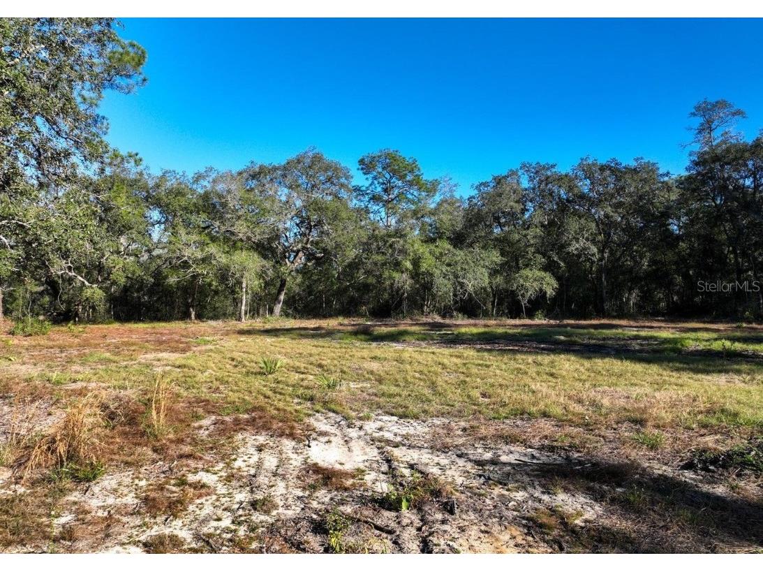 1551 State Road 100 Melrose FL 32666 GC527716 image1