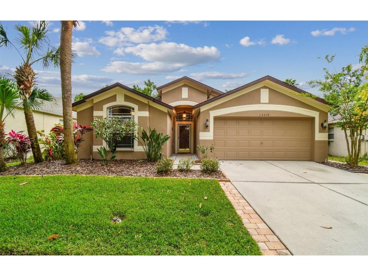 15510 Martinmeadow Drive Lithia FL 33547 T3516481 image1