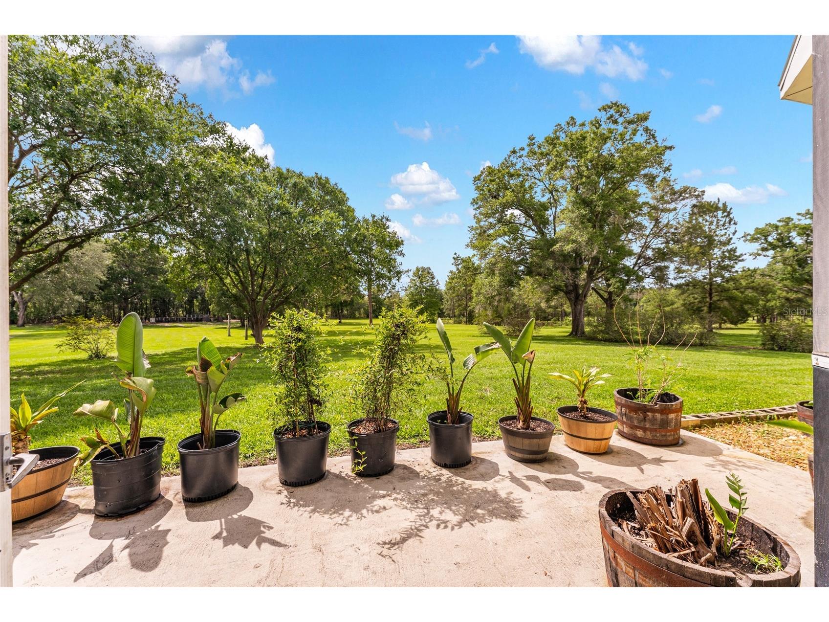 15510 SW 149th Place Archer FL 32618 OM725653 image48