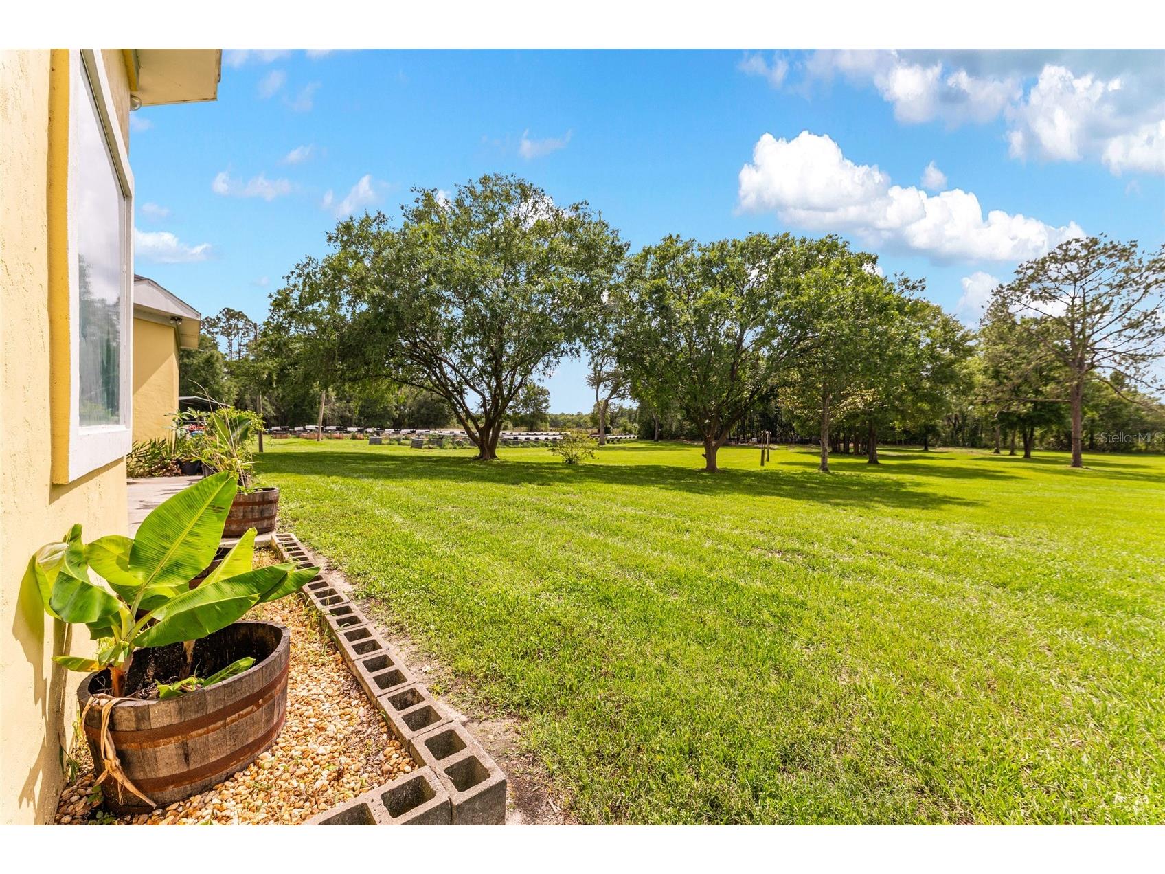 15510 SW 149th Place Archer FL 32618 OM725653 image53