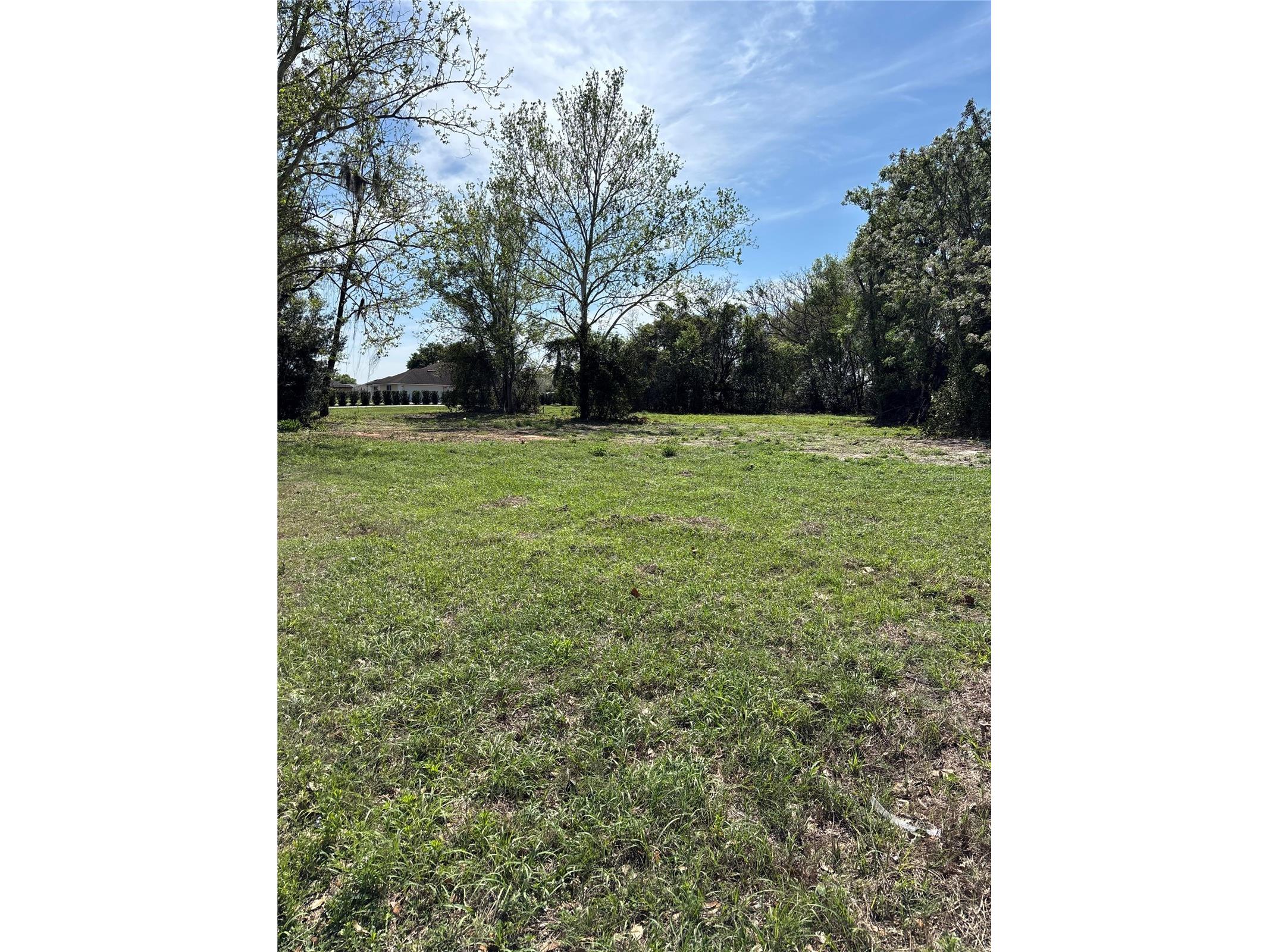 15511 State Road 19 Groveland FL 34736 G5109701 image1