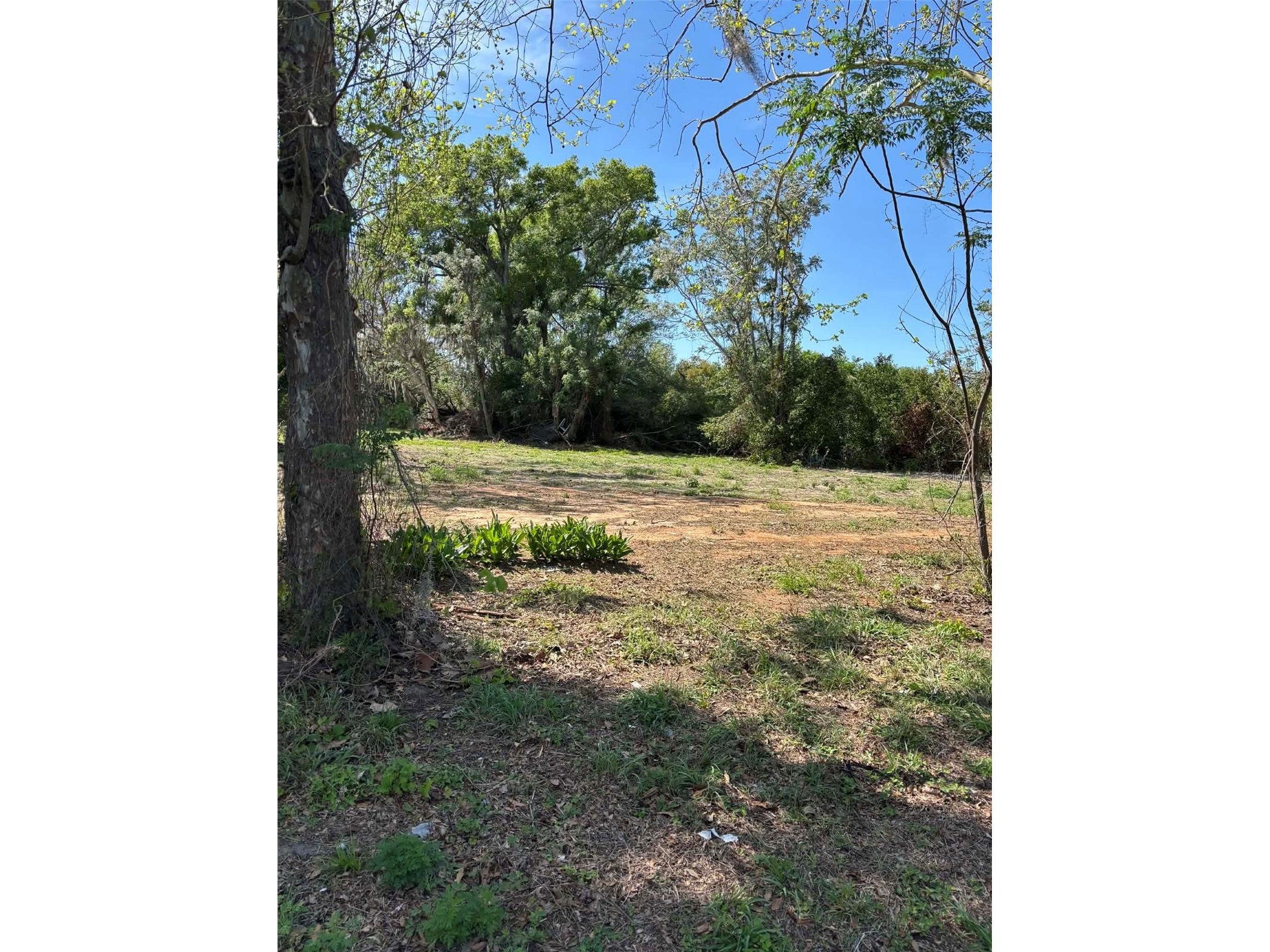15511 State Road 19 Groveland FL 34736 G5109771 image5