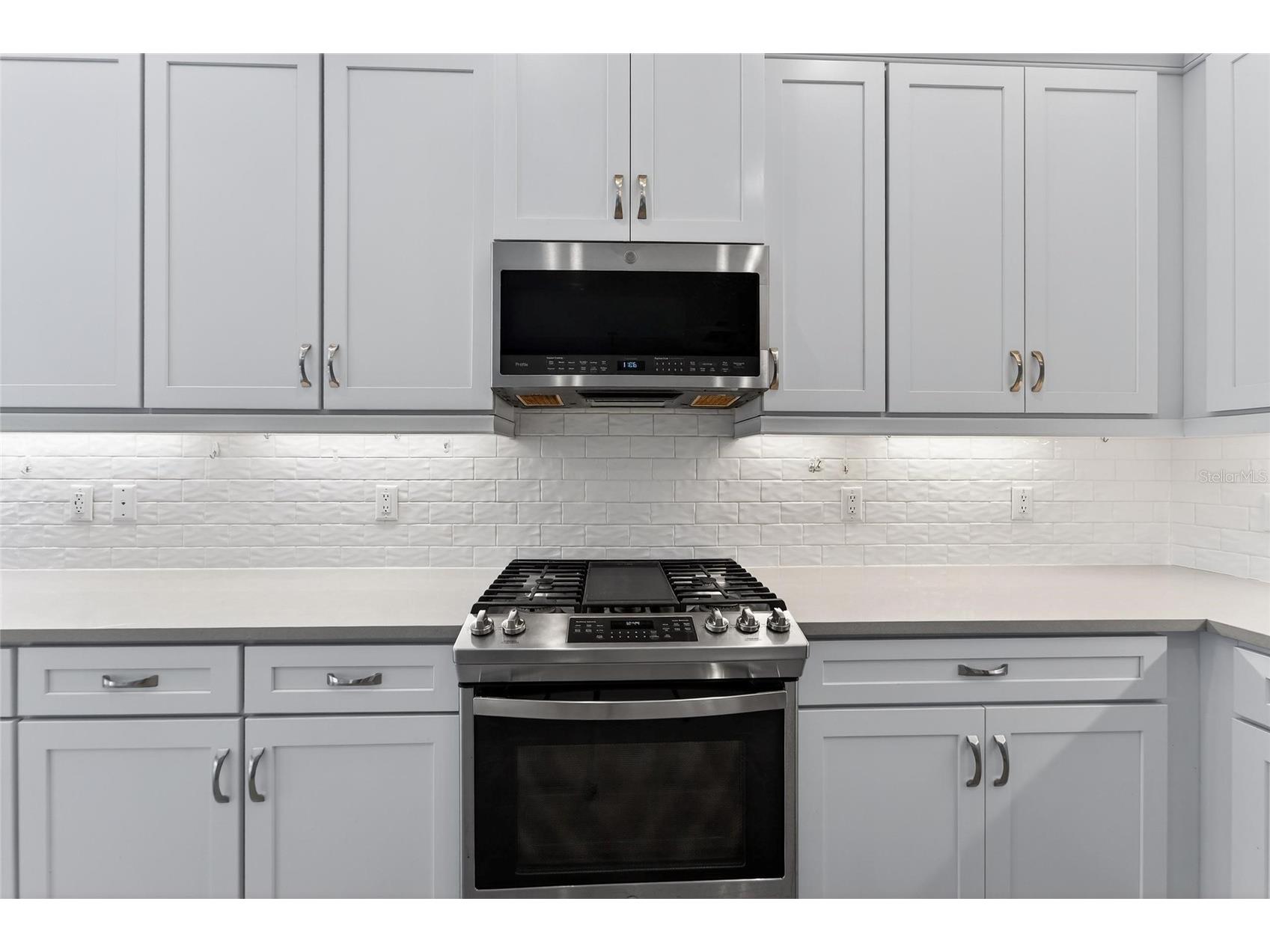 15512 Corona Del Mar Drive Wimauma FL 33598 TB8468540 image17