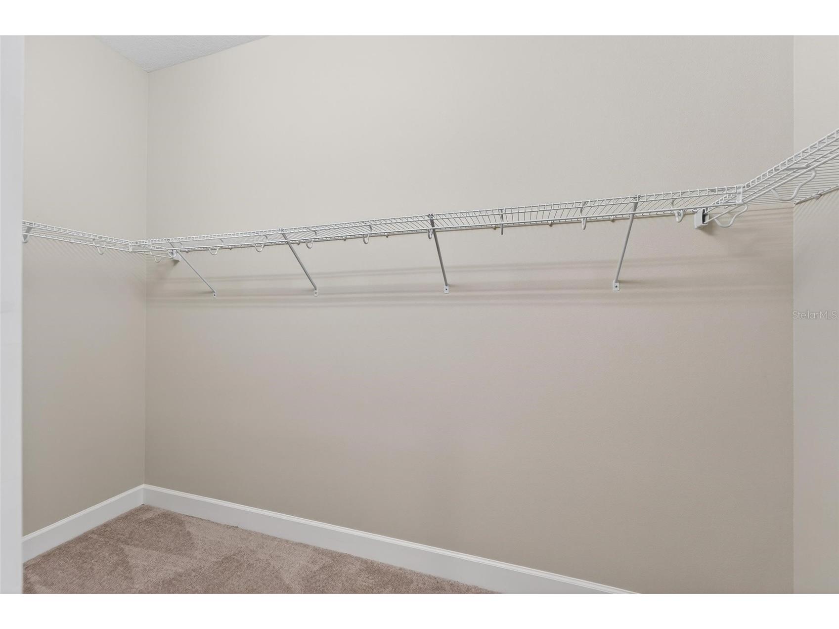 15512 Corona Del Mar Drive Wimauma FL 33598 TB8468540 image33