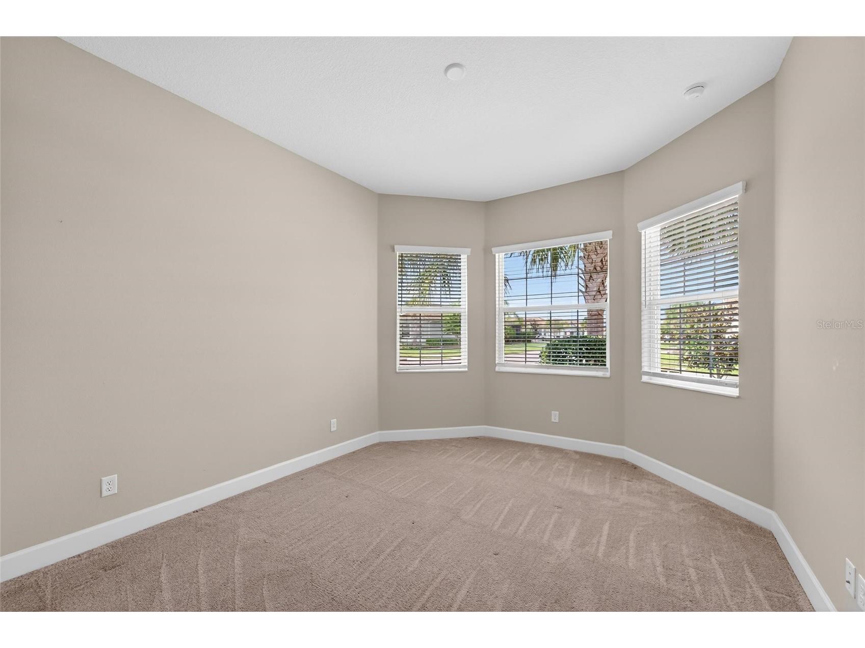15512 Corona Del Mar Drive Wimauma FL 33598 TB8468540 image38
