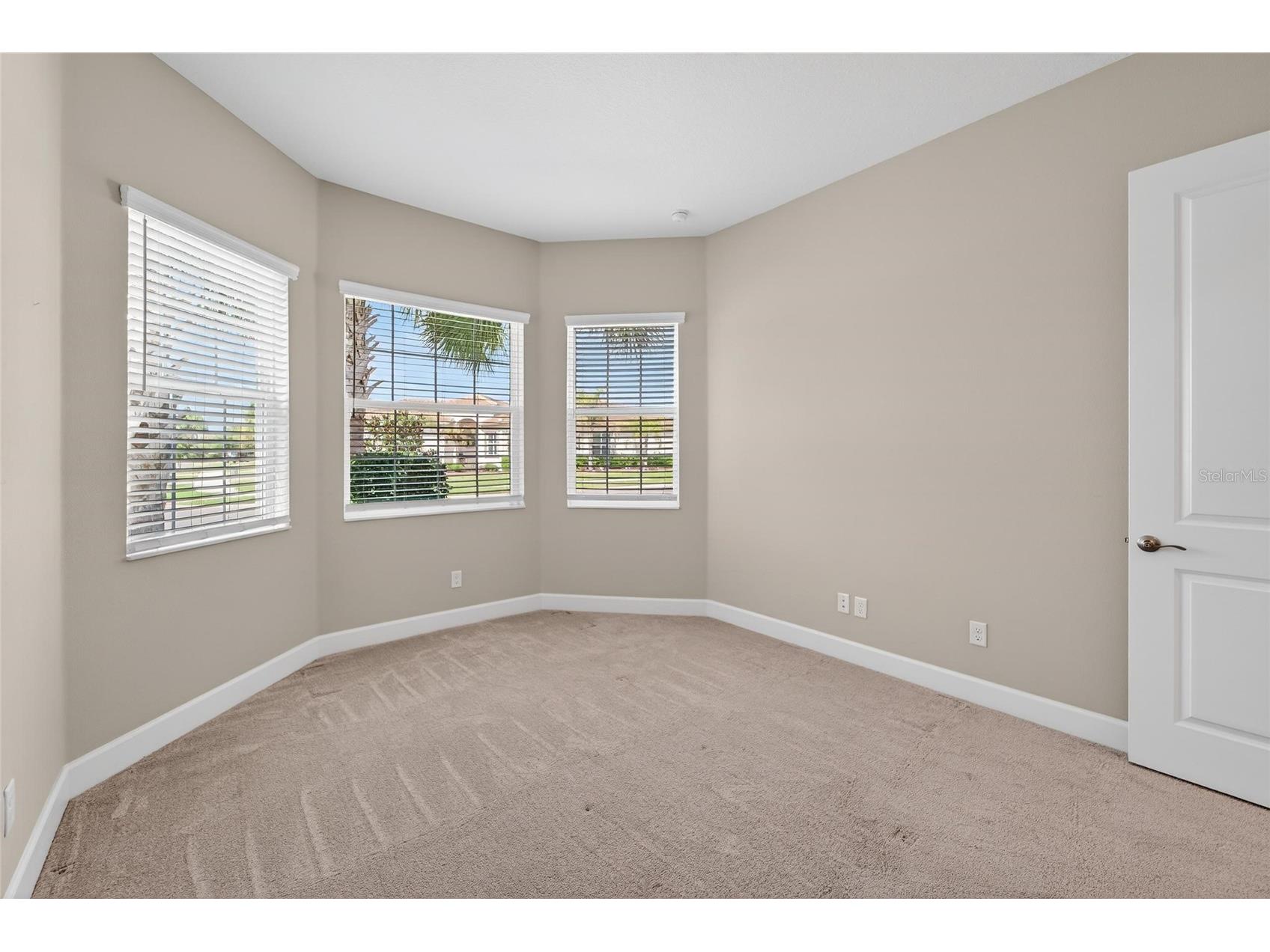 15512 Corona Del Mar Drive Wimauma FL 33598 TB8468540 image39