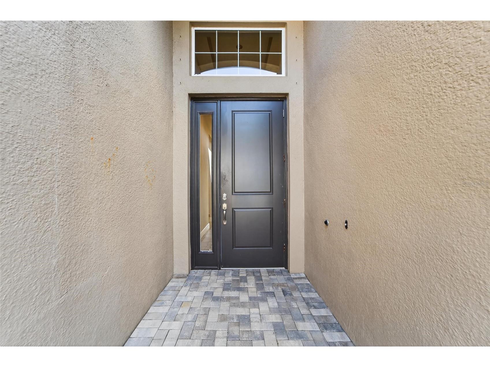 15512 Corona Del Mar Drive Wimauma FL 33598 TB8468540 image6