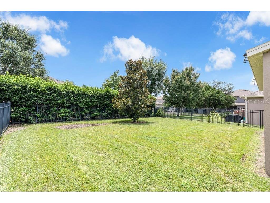 15512 Fountain Cove Court Winter Garden FL 34787 O6425554 image40