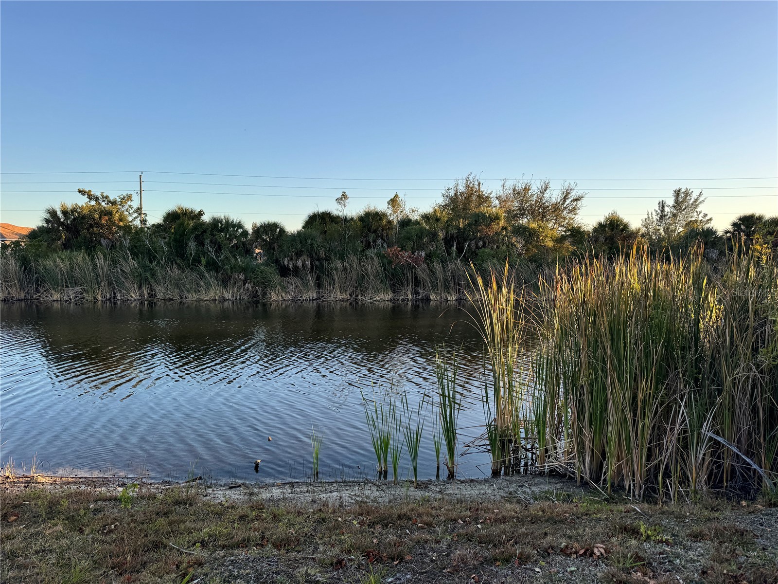 15512 Lakeland Circle Port Charlotte FL 33981 - APPLETON WATERWAY D6146031 image6