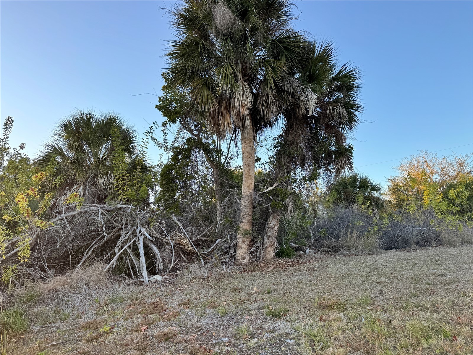 15512 Lakeland Circle Port Charlotte FL 33981 - APPLETON WATERWAY D6146031 image9