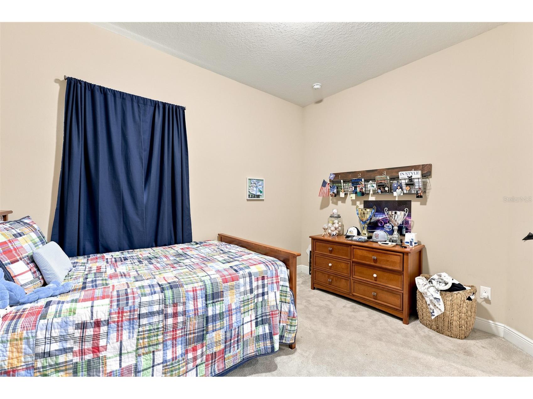 15512 Mossy Ridge Lane Lithia FL 33547 TB8525957 image38