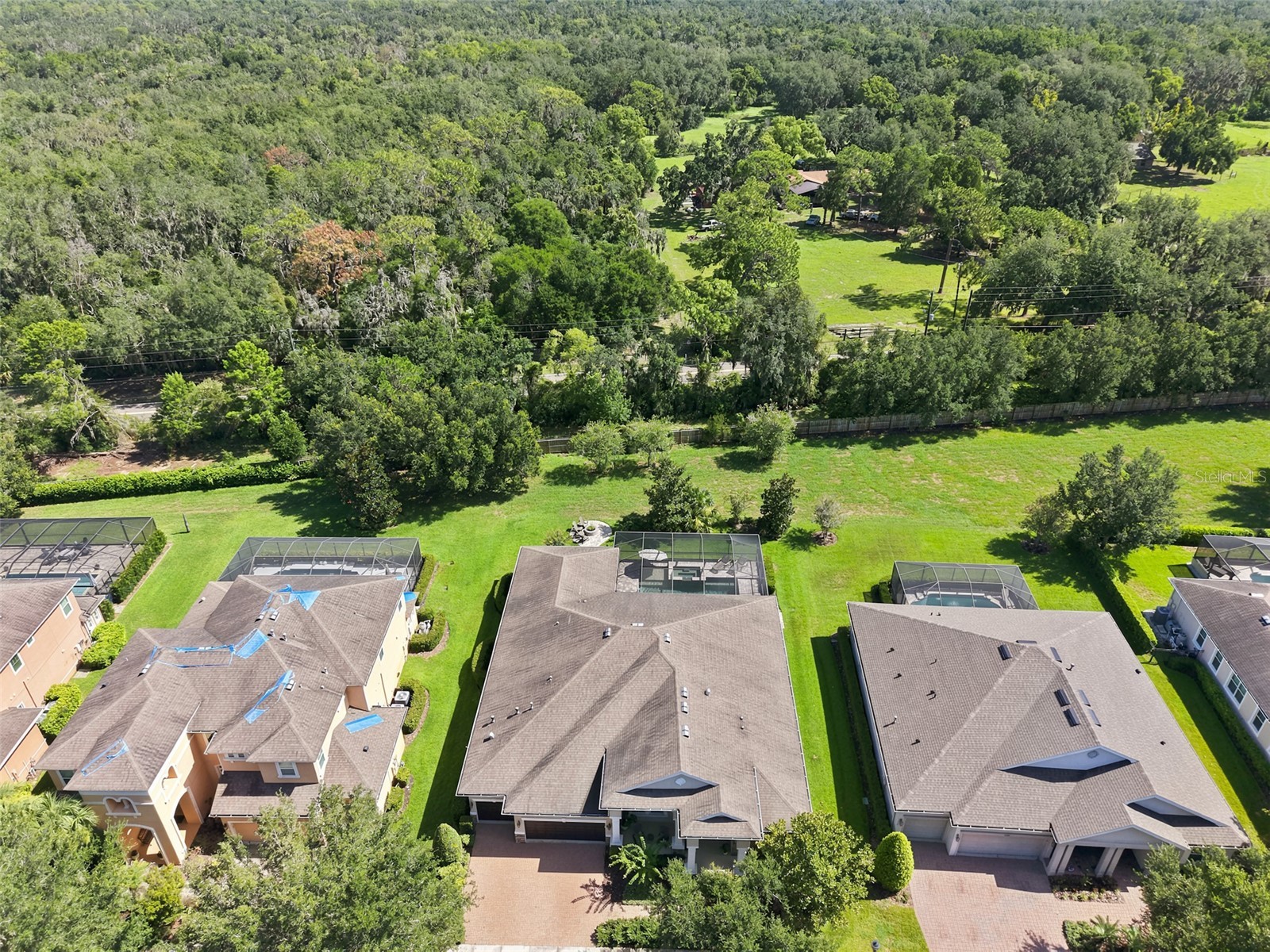 15512 Mossy Ridge Lane Lithia FL 33547 TB8525957 image52