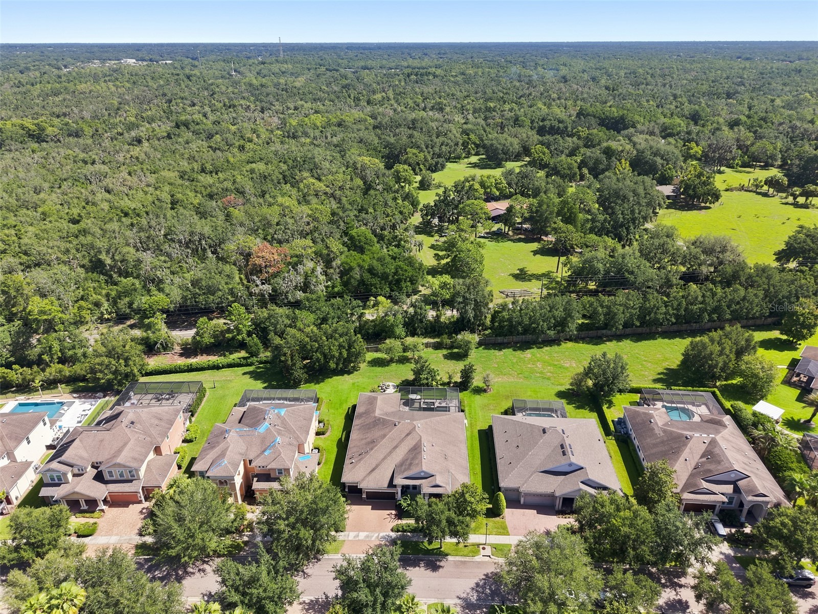 15512 Mossy Ridge Lane Lithia FL 33547 TB8525957 image53