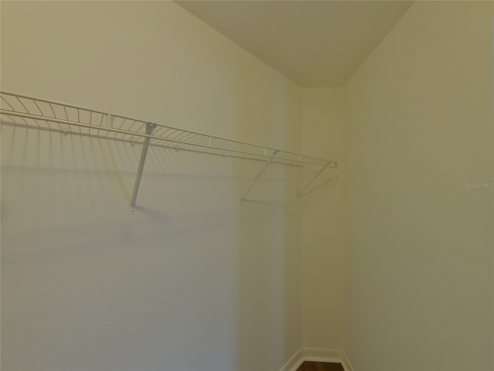 15512 Telford Spring Drive Ruskin FL 33573 C7524269 image20