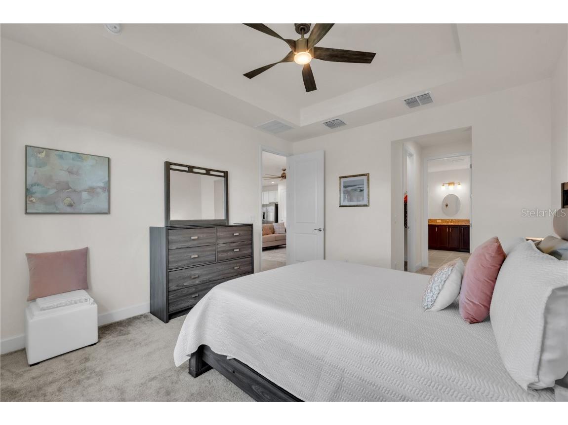 15513 Santa Pola Drive Wimauma FL 33598 TB8443951 image19