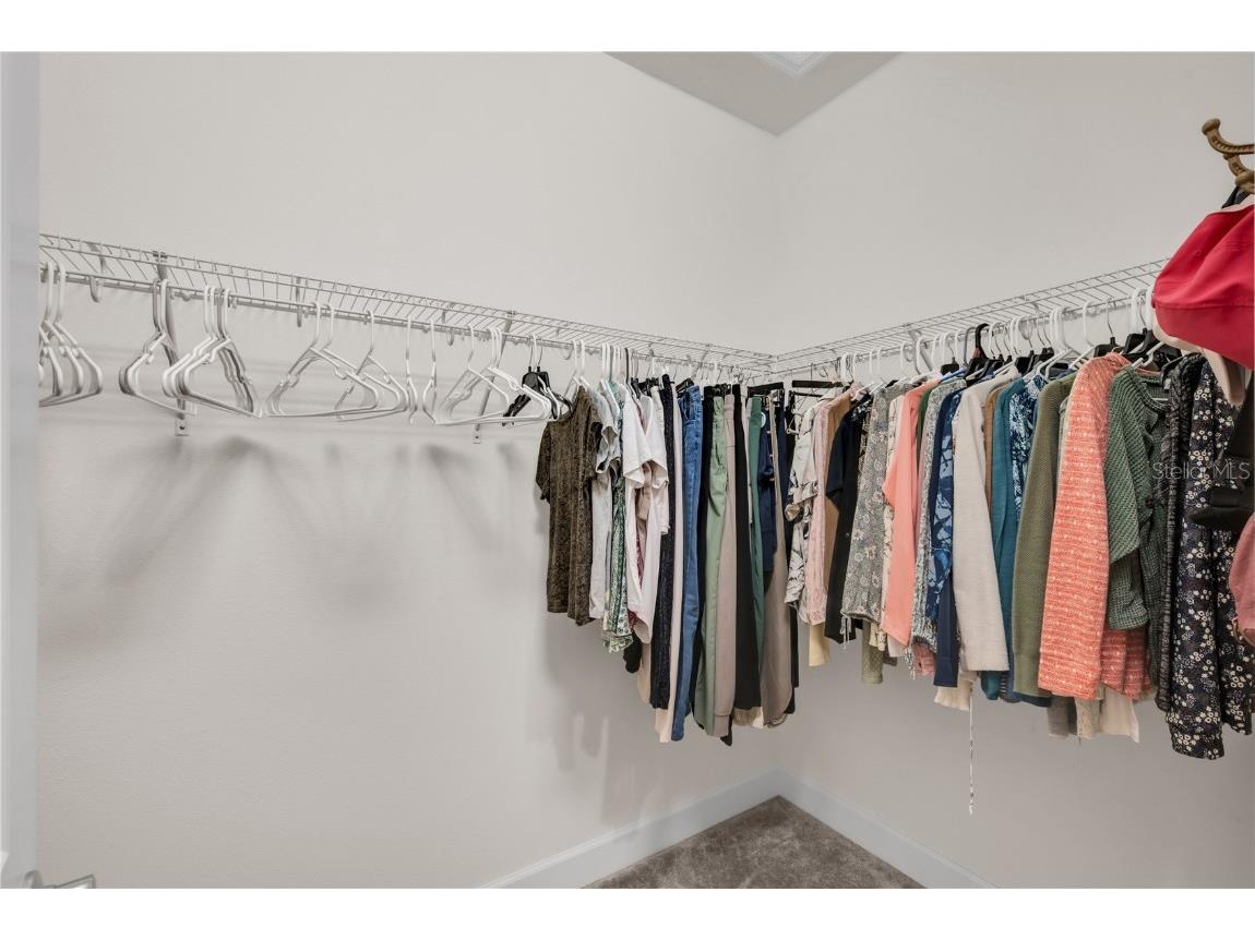 15513 Santa Pola Drive Wimauma FL 33598 TB8443951 image25