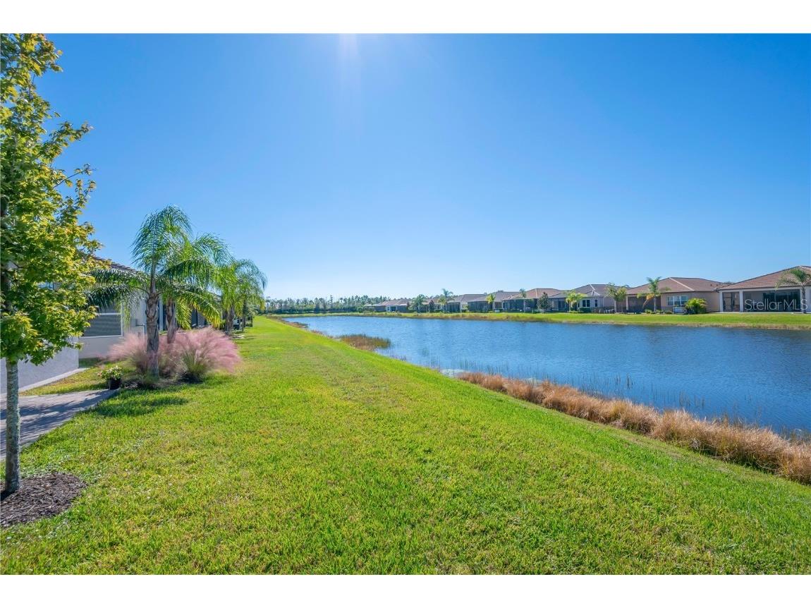 15513 Santa Pola Drive Wimauma FL 33598 TB8443951 image31