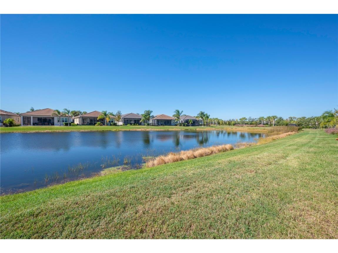 15513 Santa Pola Drive Wimauma FL 33598 TB8443951 image43