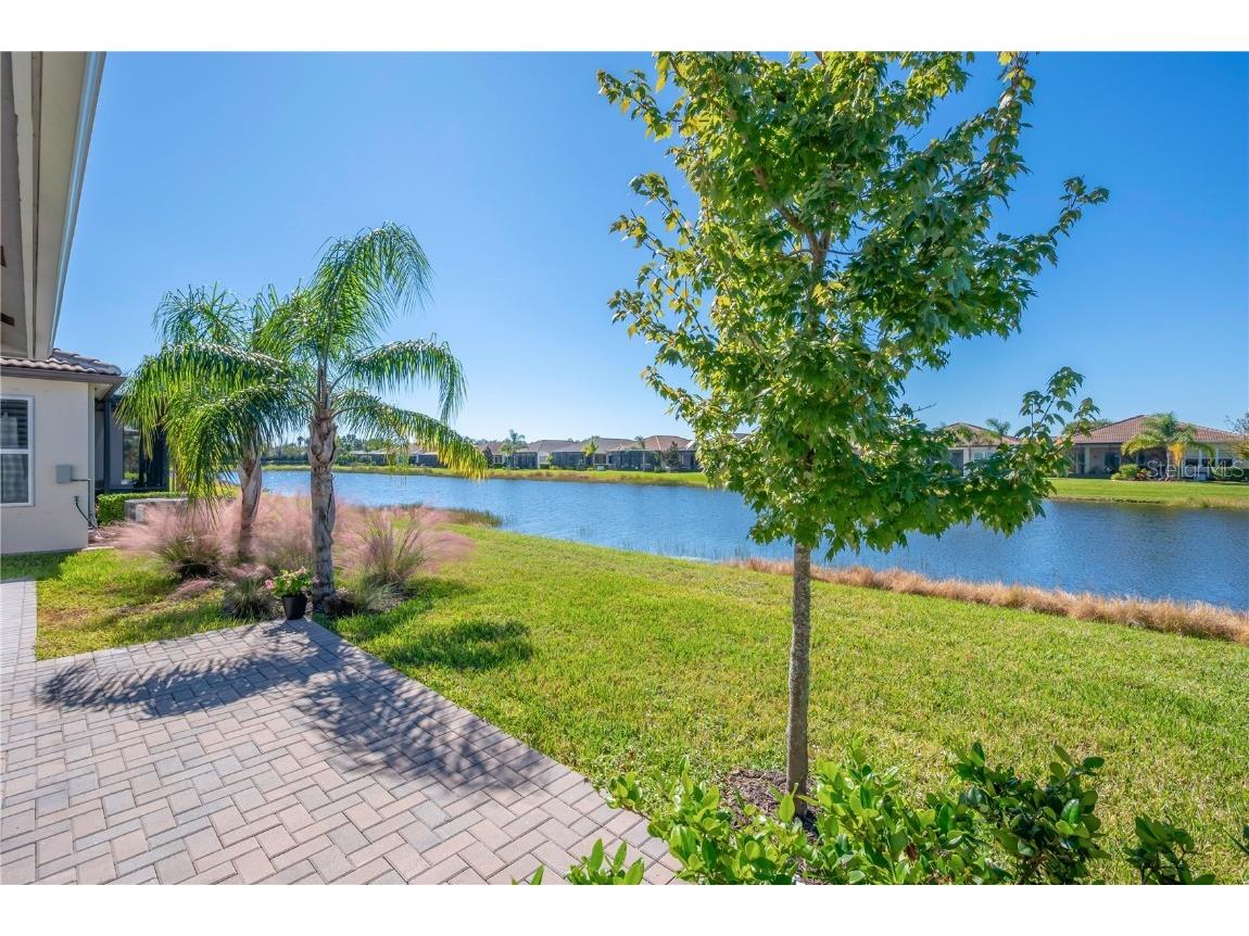 15513 Santa Pola Drive Wimauma FL 33598 TB8443951 image5