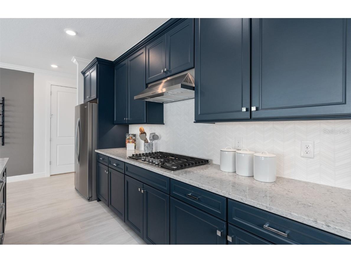 15514 Orchid Rose Court Winter Garden FL 34787 O6360361 image14