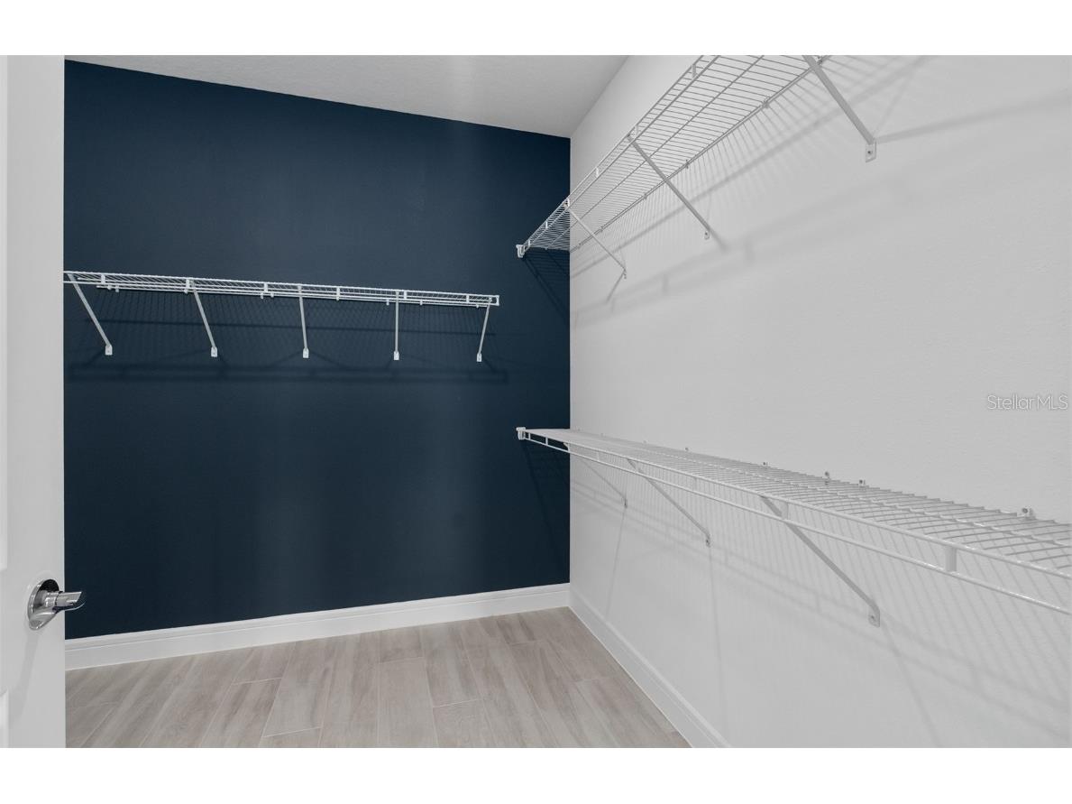 15514 Orchid Rose Court Winter Garden FL 34787 O6360361 image28