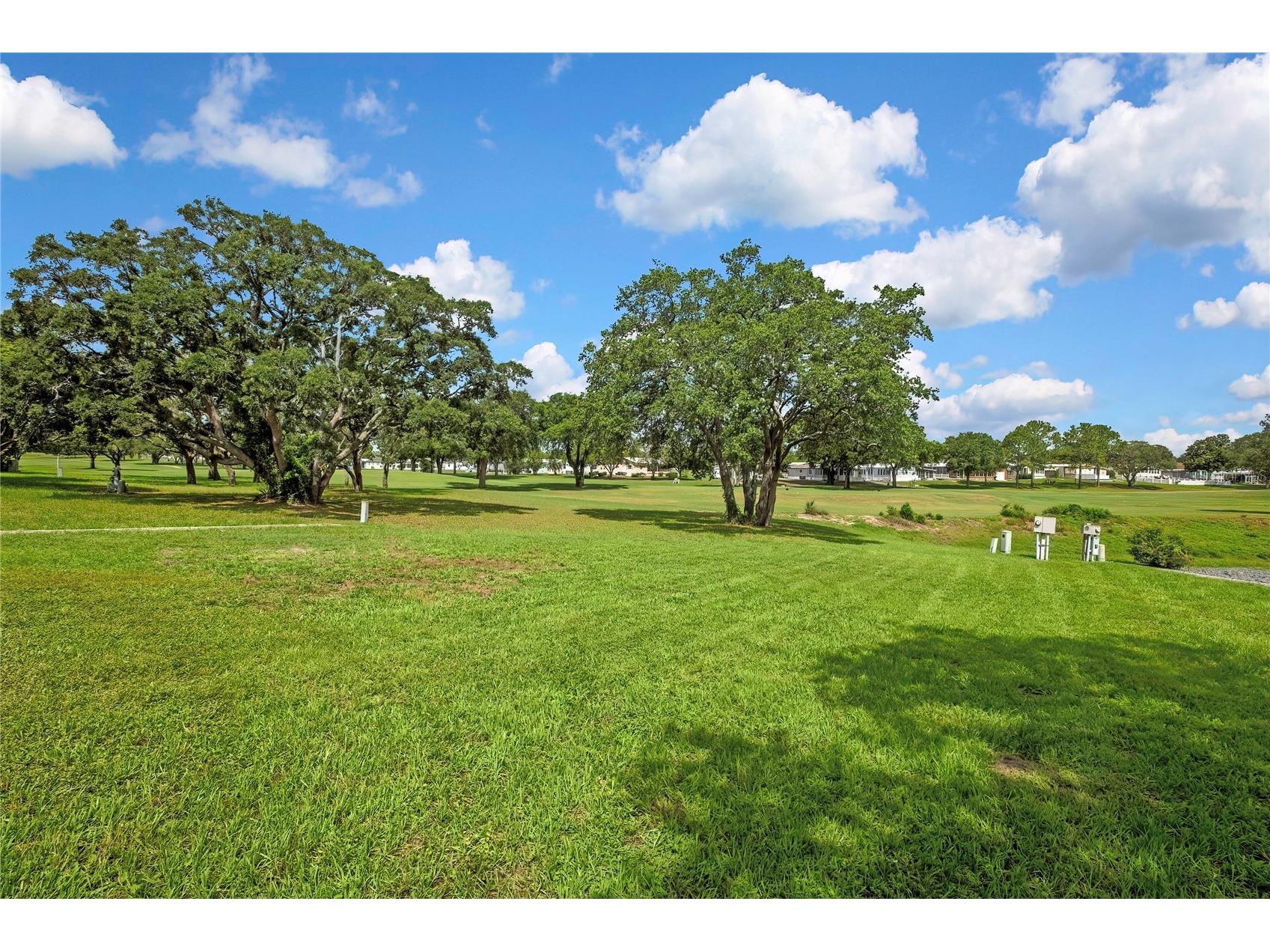 15515 Brookridge Boulevard Brooksville FL 34613 W7886200 image3