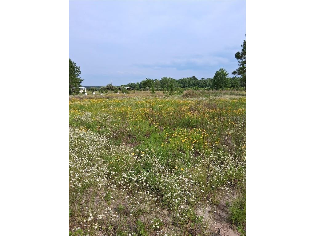 15515 NW 270th Avenue Alachua FL 32615 GC535565 image20