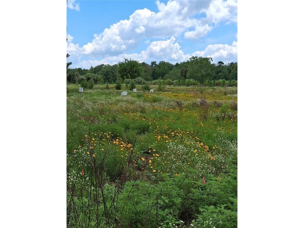 15515 NW 270th Avenue Alachua FL 32615 GC535565 image21