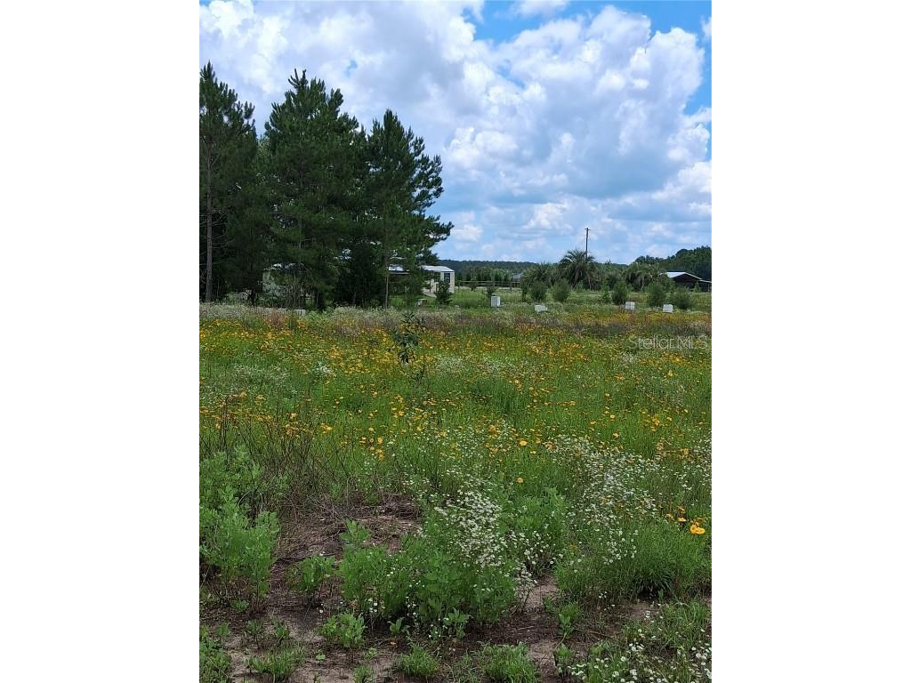 15515 NW 270th Avenue Alachua FL 32615 GC535565 image22