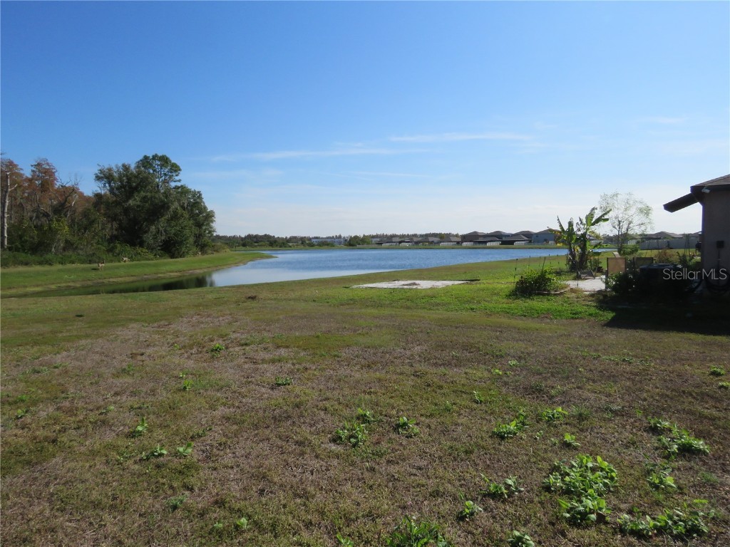 15518 Miller Creek Drive Sun City Center FL 33573 TB8456030 image18