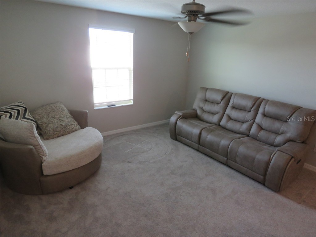 15518 Miller Creek Drive Sun City Center FL 33573 TB8456030 image6