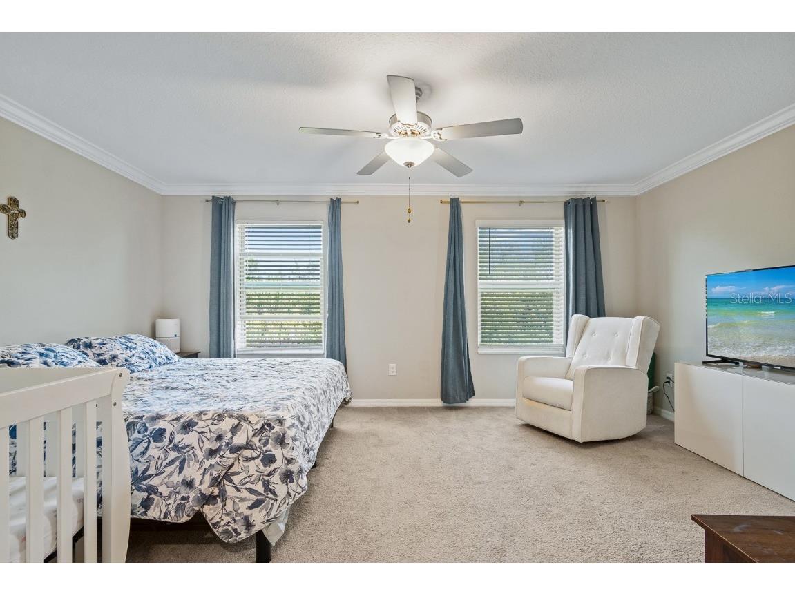 1552 Cassius Street Lutz FL 33549 TB8448366 image18