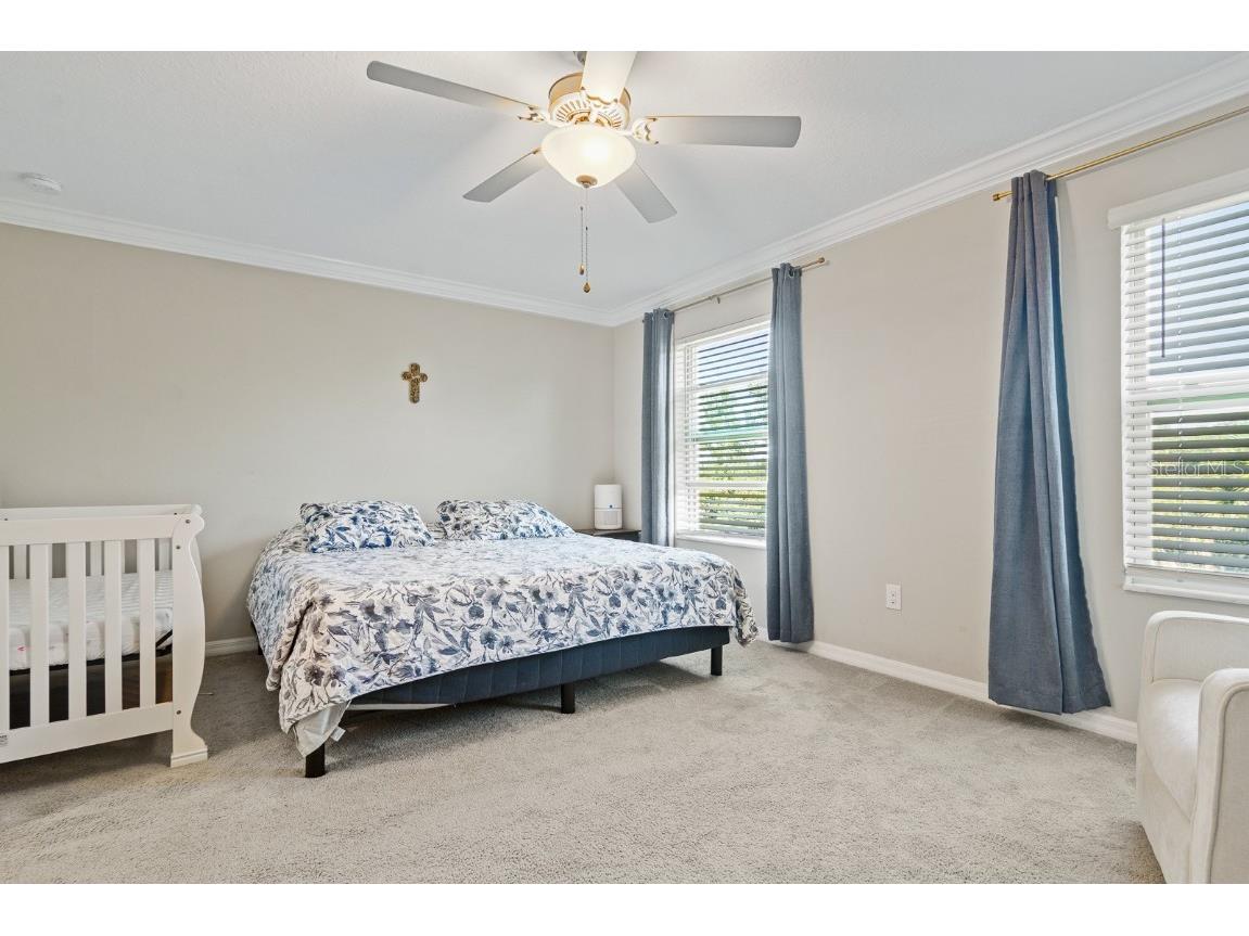 1552 Cassius Street Lutz FL 33549 TB8448366 image19