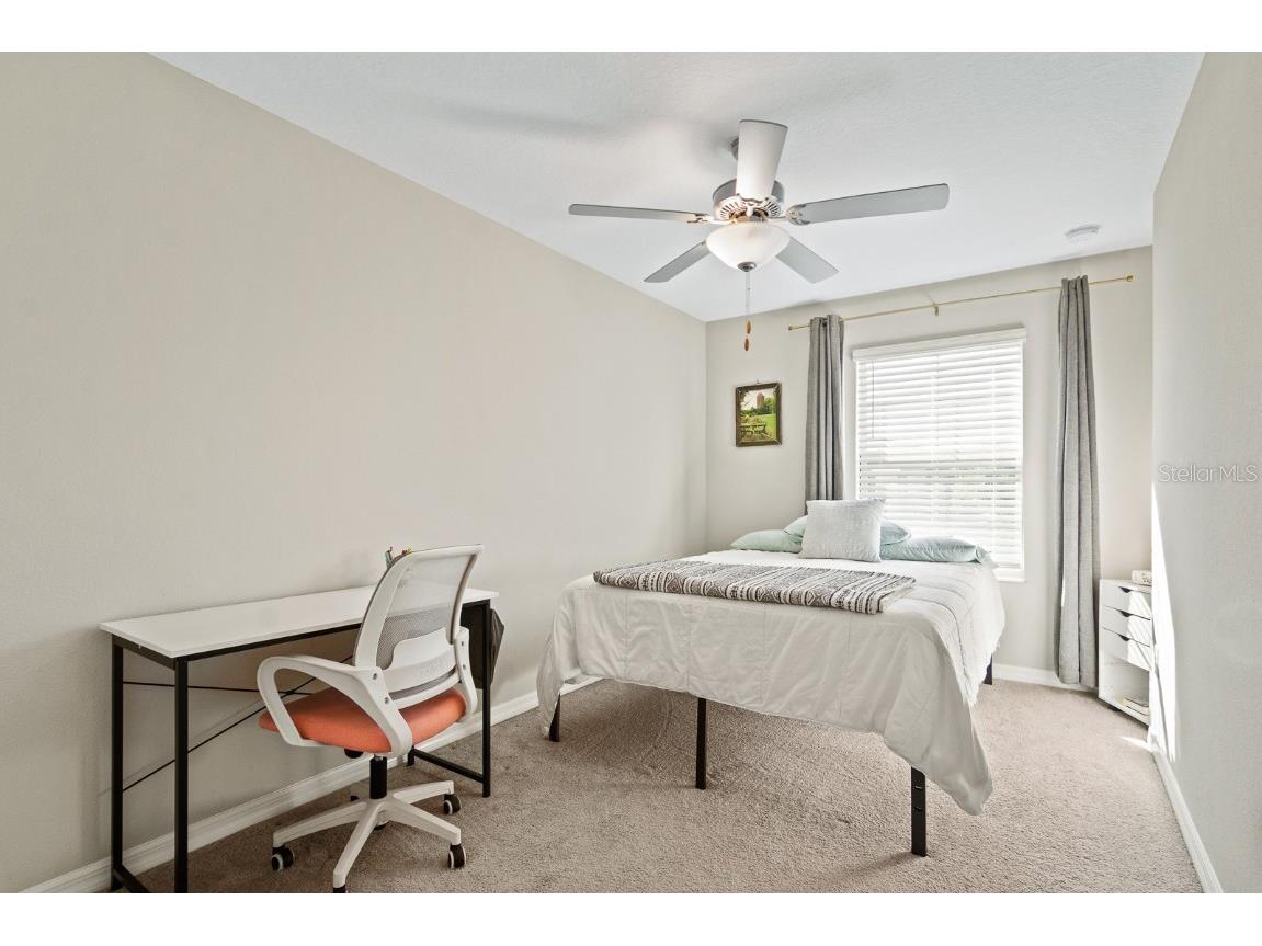 1552 Cassius Street Lutz FL 33549 TB8448366 image24