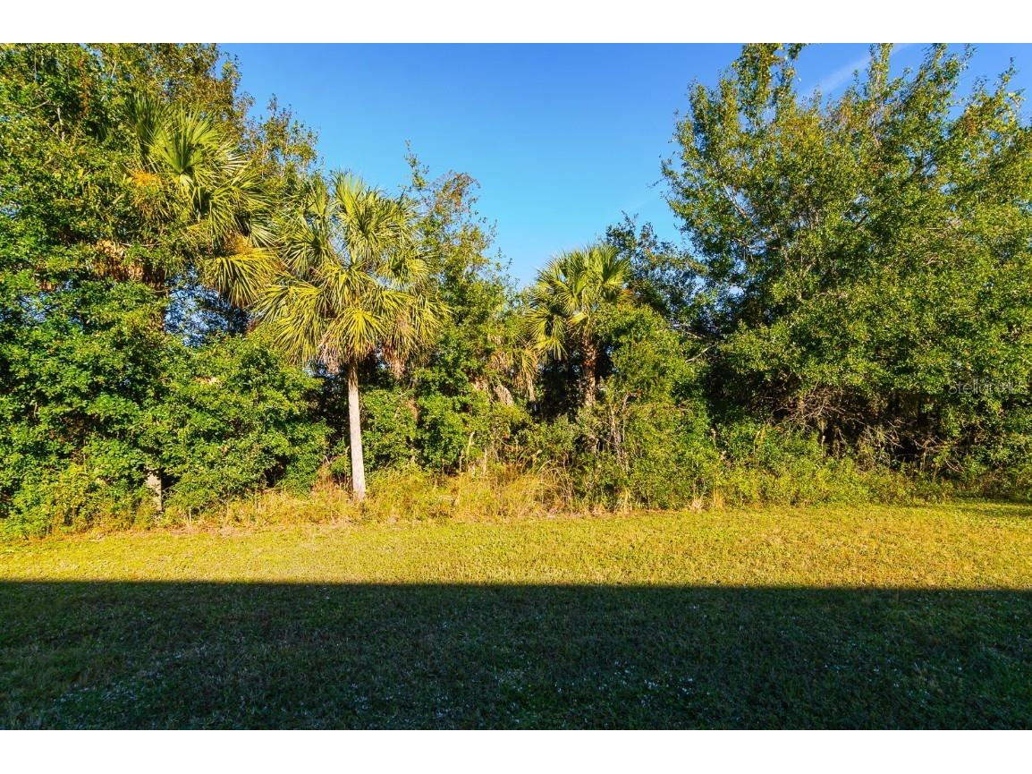 1552 Cassius Street Lutz FL 33549 TB8448366 image27