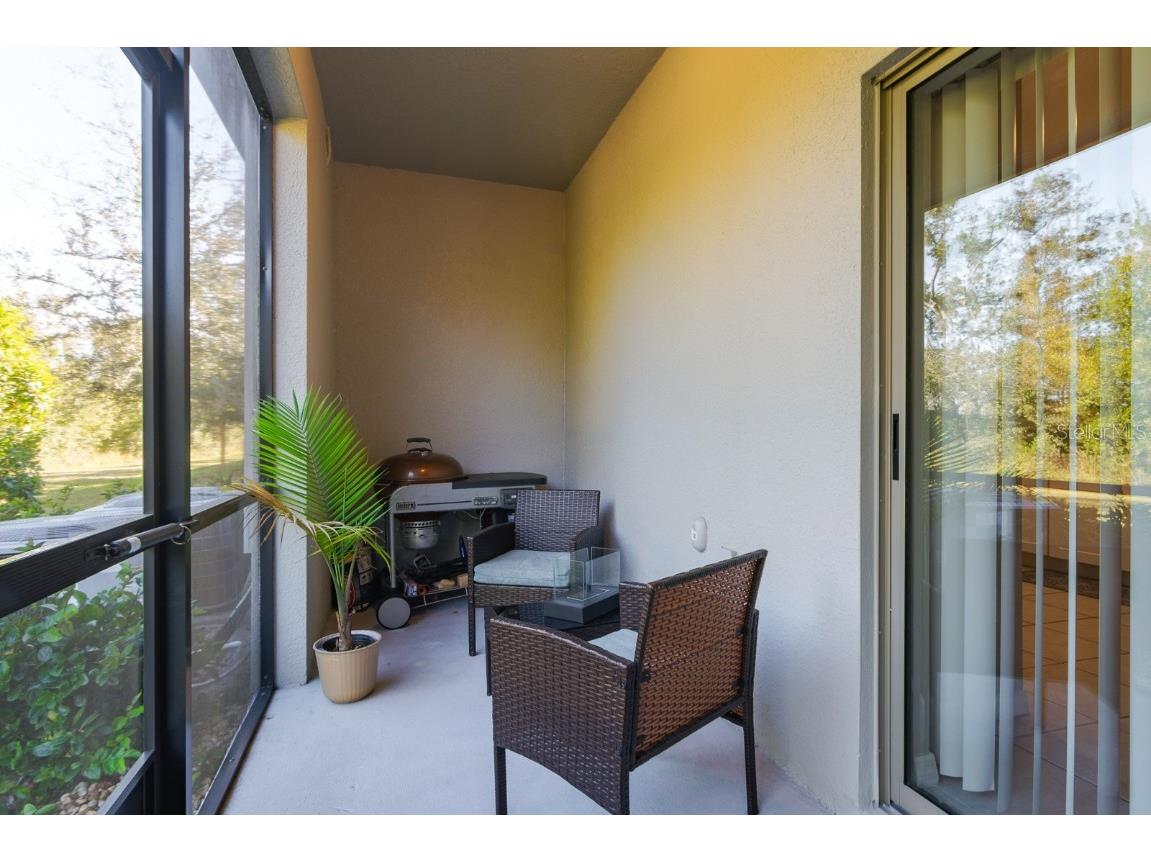 1552 Cassius Street Lutz FL 33549 TB8448366 image29