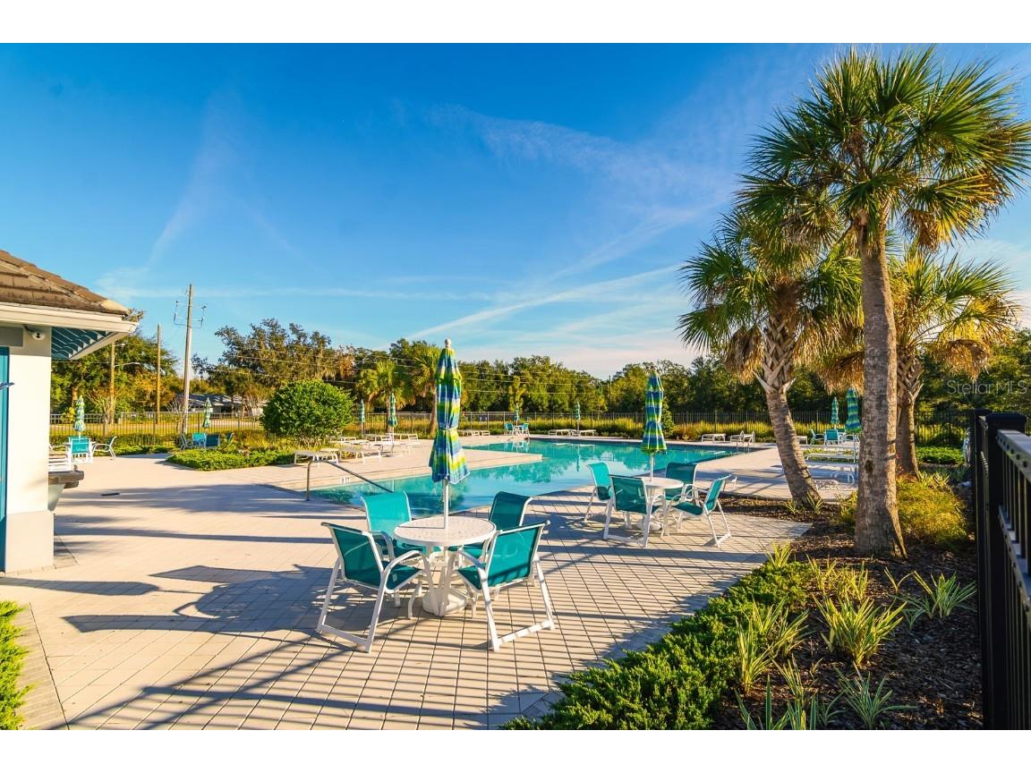 1552 Cassius Street Lutz FL 33549 TB8448366 image37