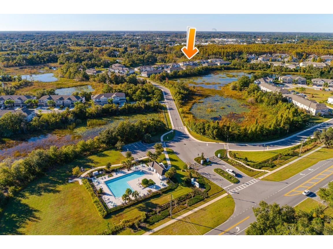 1552 Cassius Street Lutz FL 33549 TB8448366 image40