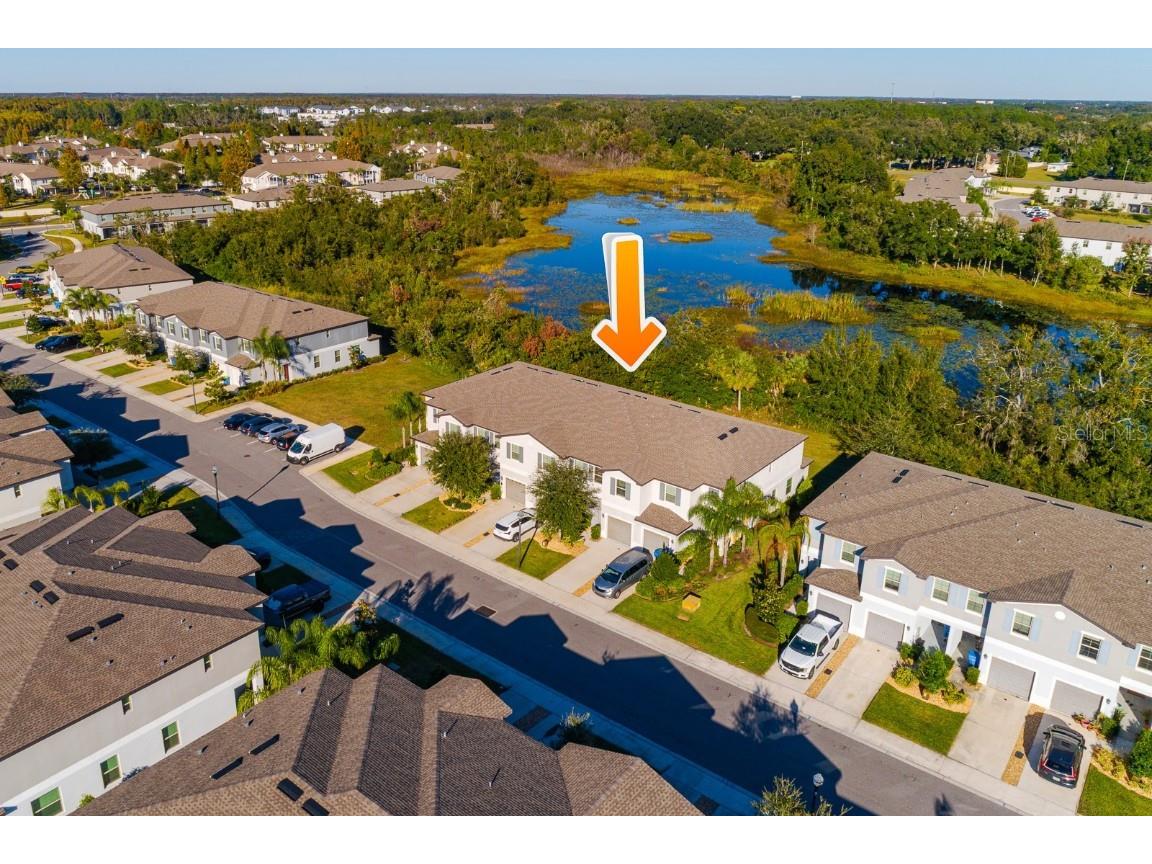 1552 Cassius Street Lutz FL 33549 TB8448366 image41