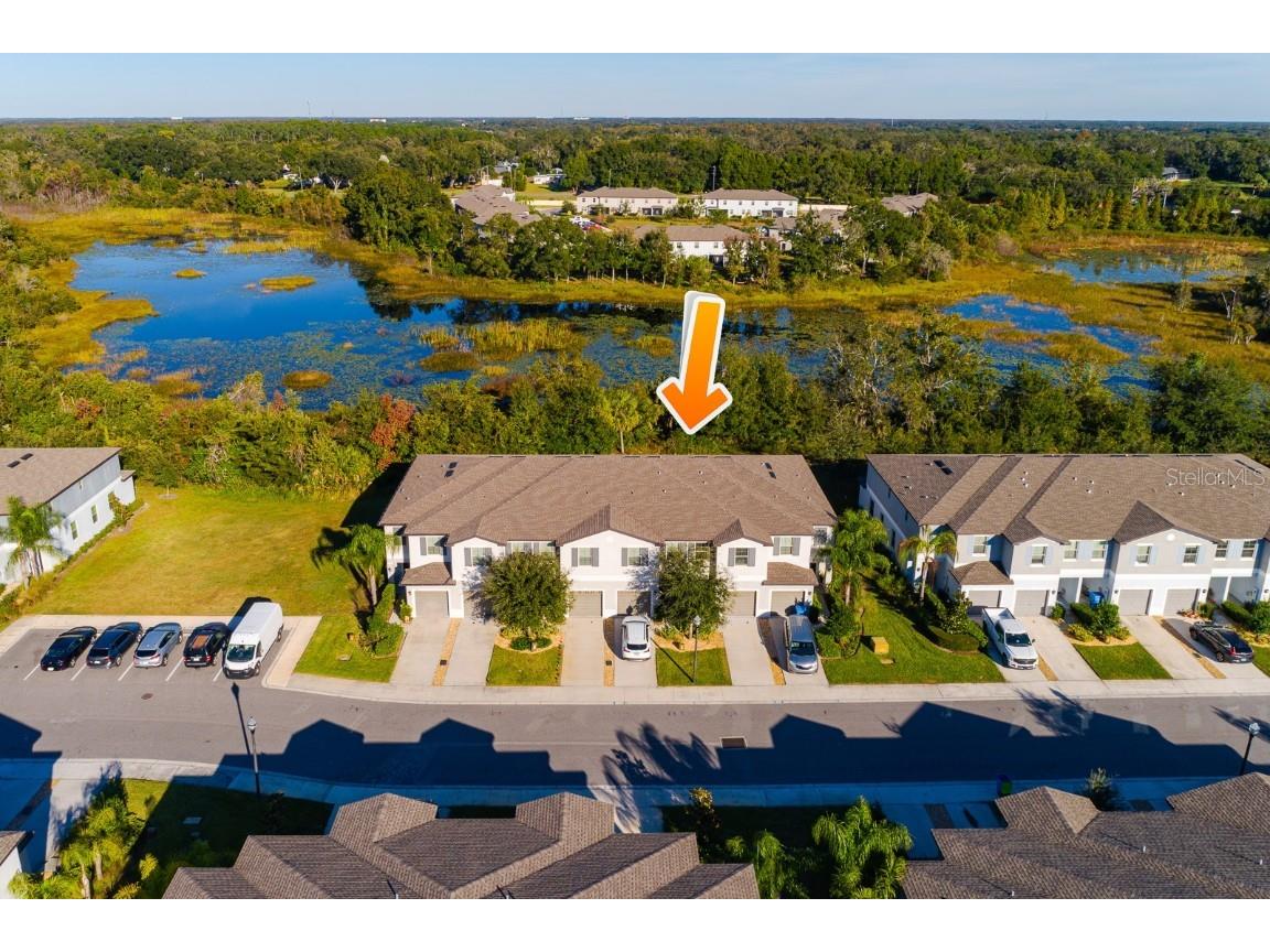 1552 Cassius Street Lutz FL 33549 TB8448366 image42