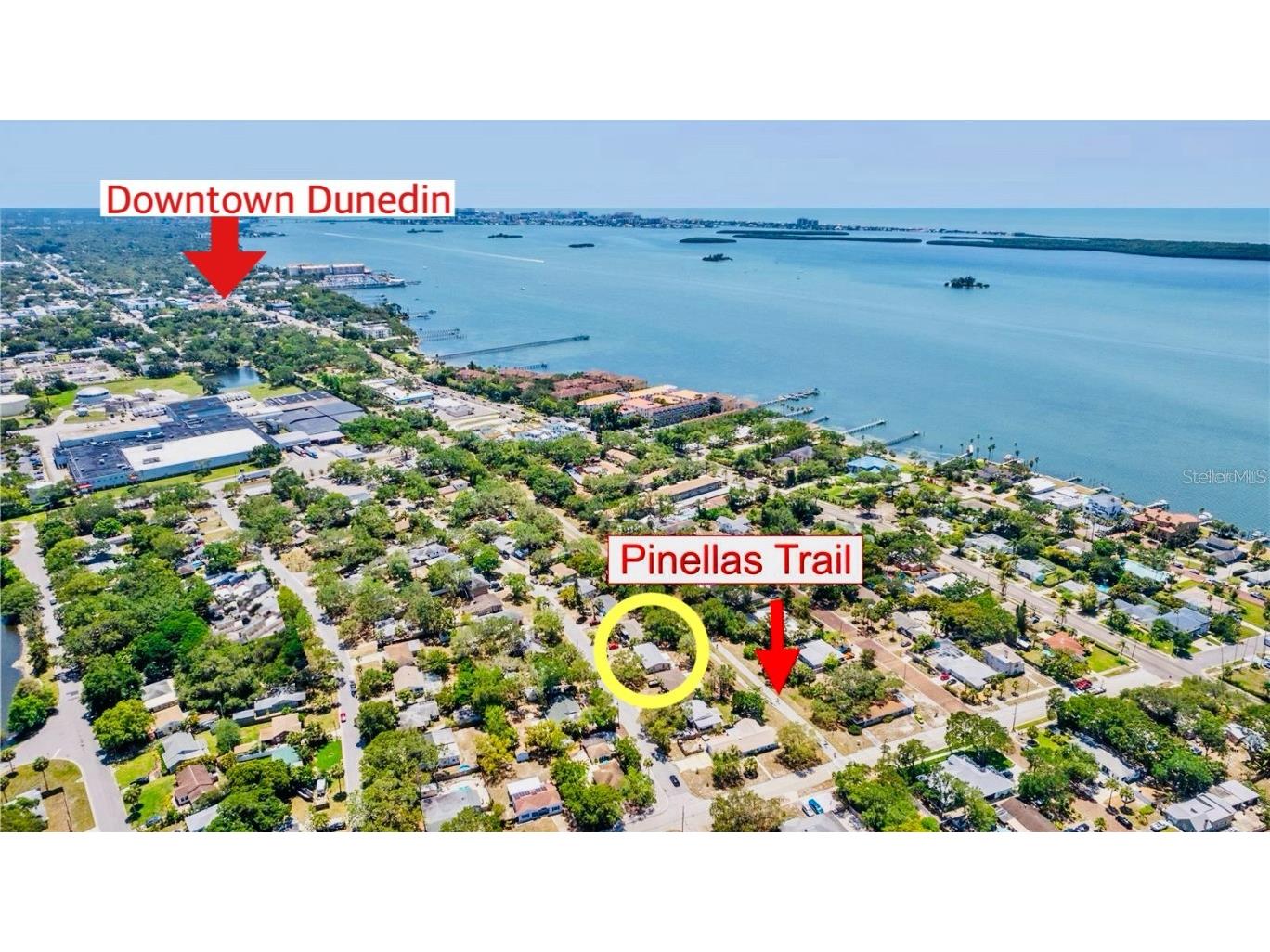 1552 Douglas Avenue Dunedin FL 34698 U8228313 image1