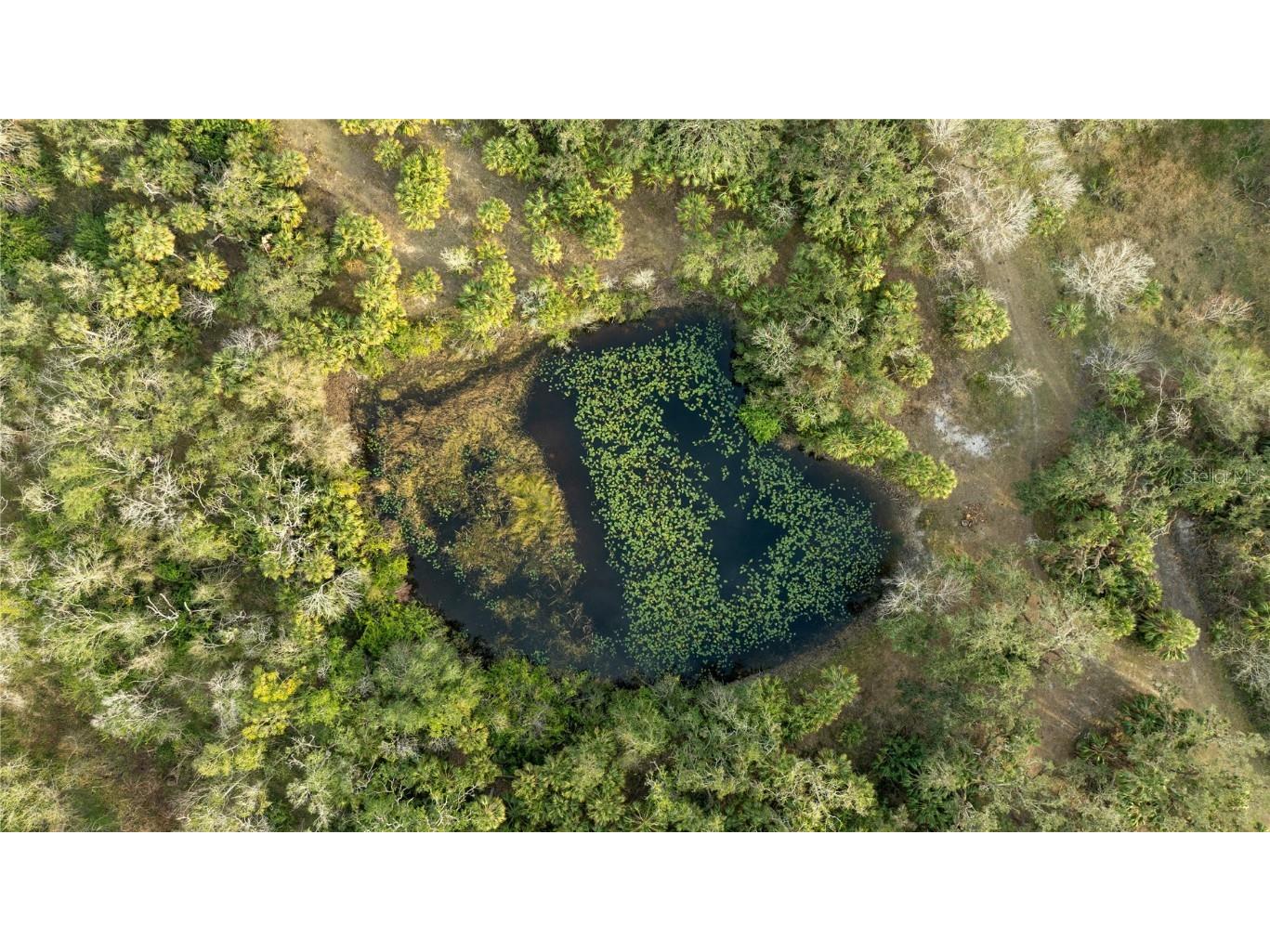 1552 Palm View Road Sarasota FL 34240 OM694741 image19