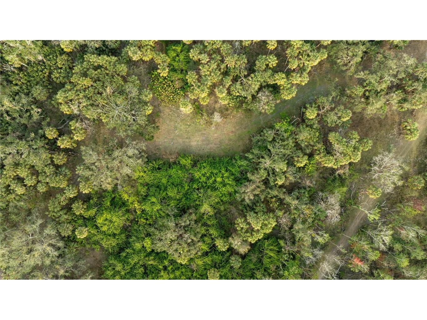 1552 Palm View Road Sarasota FL 34240 OM694741 image23